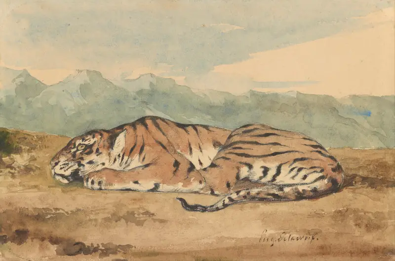 Tigre d'Eugène Delacroix (plume et encre brune, et aquarelle, sur mine de plomb)